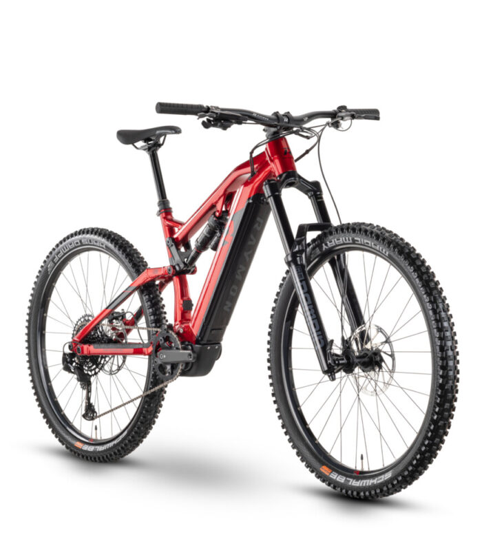 R RAYMON TrailRay 160E 10.0 29" - S (40cm) – Bild 2